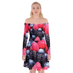 Berries 2 Off Shoulder Skater Dress by trendistuff