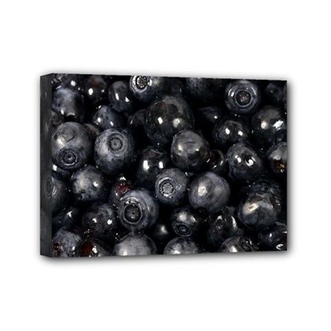 Blueberries 1 Mini Canvas 7  X 5  by trendistuff