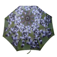 Blueberries 2 Folding Umbrellas by trendistuff