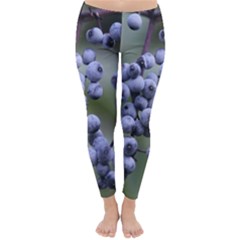 Blueberries 2 Classic Winter Leggings by trendistuff