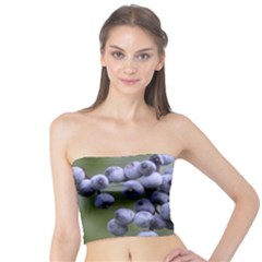 Blueberries 2 Tube Top by trendistuff