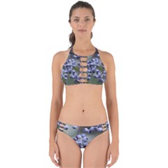 Blueberries 2 Perfectly Cut Out Bikini Set by trendistuff