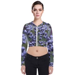 Blueberries 2 Bomber Jacket