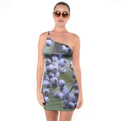 Blueberries 2 One Soulder Bodycon Dress by trendistuff