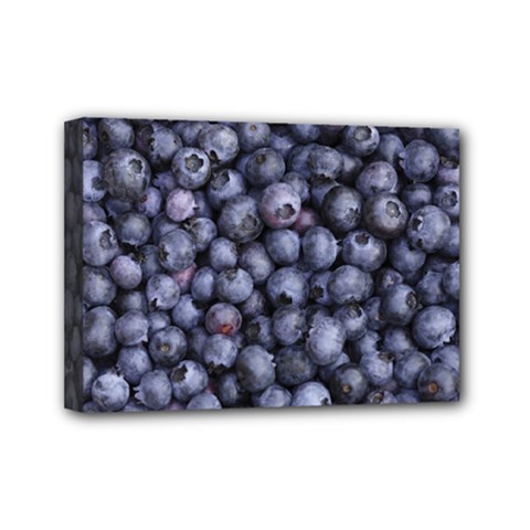 Blueberries 3 Mini Canvas 7  X 5  by trendistuff