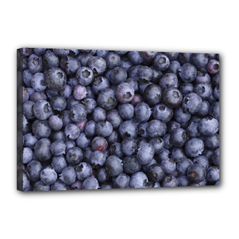 Blueberries 3 Canvas 18  X 12  by trendistuff