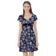 Blueberries 3 Short Sleeve Skater Dress by trendistuff