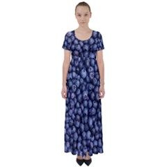 Blueberries 3 High Waist Short Sleeve Maxi Dress by trendistuff