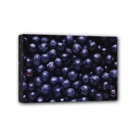 Blueberries 4 Mini Canvas 6  X 4  by trendistuff