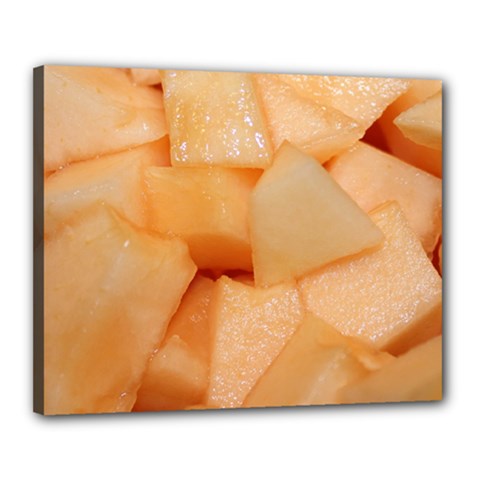 Cantaloupe Canvas 20  X 16  by trendistuff