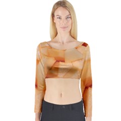 Cantaloupe Long Sleeve Crop Top by trendistuff