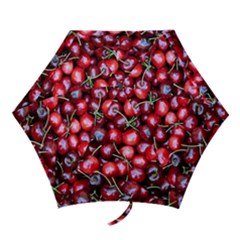 Cherries 1 Mini Folding Umbrellas by trendistuff