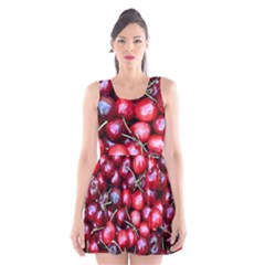 Cherries 1 Scoop Neck Skater Dress by trendistuff