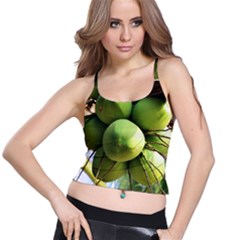 Coconuts 1 Spaghetti Strap Bra Top by trendistuff