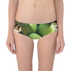 Coconuts 1 Classic Bikini Bottoms by trendistuff