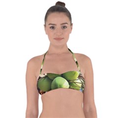 Coconuts 1 Halter Bandeau Bikini Top by trendistuff