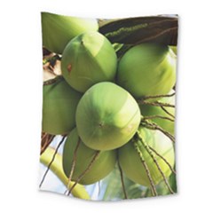 Coconuts 1 Medium Tapestry by trendistuff