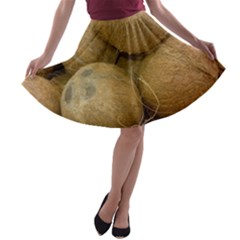 Coconuts 2 A-line Skater Skirt by trendistuff