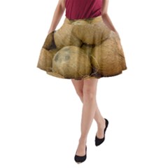 Coconuts 2 A-line Pocket Skirt by trendistuff