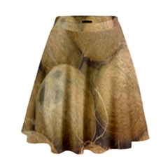 Coconuts 2 High Waist Skirt by trendistuff