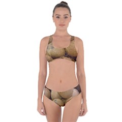 Coconuts 2 Criss Cross Bikini Set by trendistuff