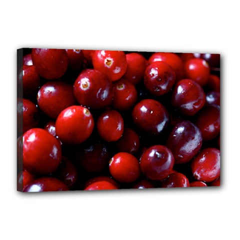 Cranberries 1 Canvas 18  X 12  by trendistuff