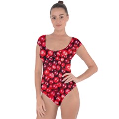 Cranberries 2 Short Sleeve Leotard  by trendistuff