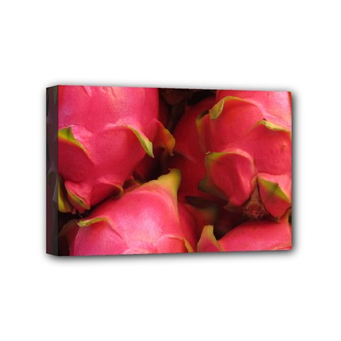 Dragonfruit Mini Canvas 6  X 4  by trendistuff