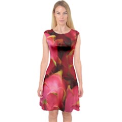 Dragonfruit Capsleeve Midi Dress by trendistuff