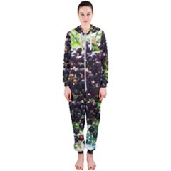 Elderberries Hooded Jumpsuit (ladies)  by trendistuff