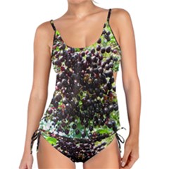 Elderberries Tankini Set by trendistuff