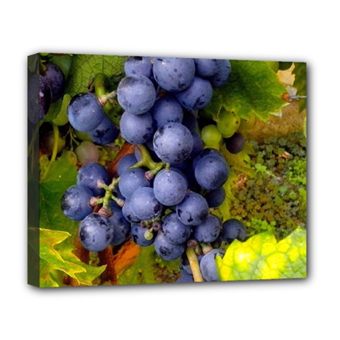 Grapes 1 Deluxe Canvas 20  X 16   by trendistuff