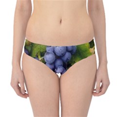 Grapes 1 Hipster Bikini Bottoms by trendistuff