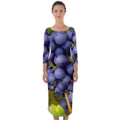 Grapes 1 Quarter Sleeve Midi Bodycon Dress