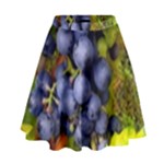 GRAPES 1 High Waist Skirt