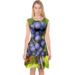 GRAPES 1 Capsleeve Midi Dress