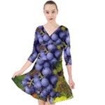 GRAPES 1 Quarter Sleeve Front Wrap Dress