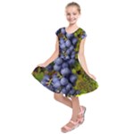 GRAPES 1 Kids  Short Sleeve Dress