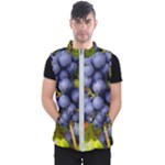 GRAPES 1 Men s Puffer Vest