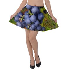 Grapes 1 Velvet Skater Skirt by trendistuff