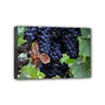 GRAPES 3 Mini Canvas 6  x 4 