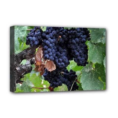 Grapes 3 Deluxe Canvas 18  X 12   by trendistuff