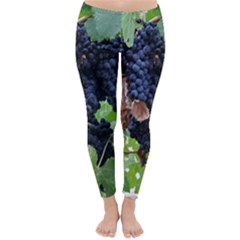 Grapes 3 Classic Winter Leggings by trendistuff