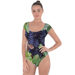 Grapes 3 Short Sleeve Leotard 