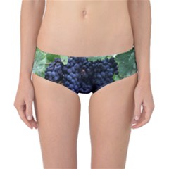 Grapes 3 Classic Bikini Bottoms by trendistuff