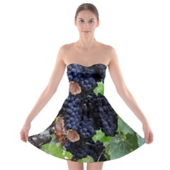 Grapes 3 Strapless Bra Top Dress by trendistuff