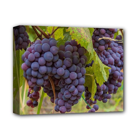 Grapes 4 Deluxe Canvas 14  X 11  by trendistuff