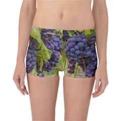 Grapes 4 Boyleg Bikini Bottoms by trendistuff