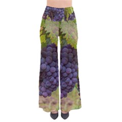 Grapes 4 Pants by trendistuff