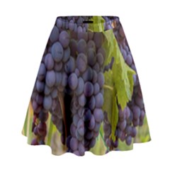 Grapes 4 High Waist Skirt by trendistuff